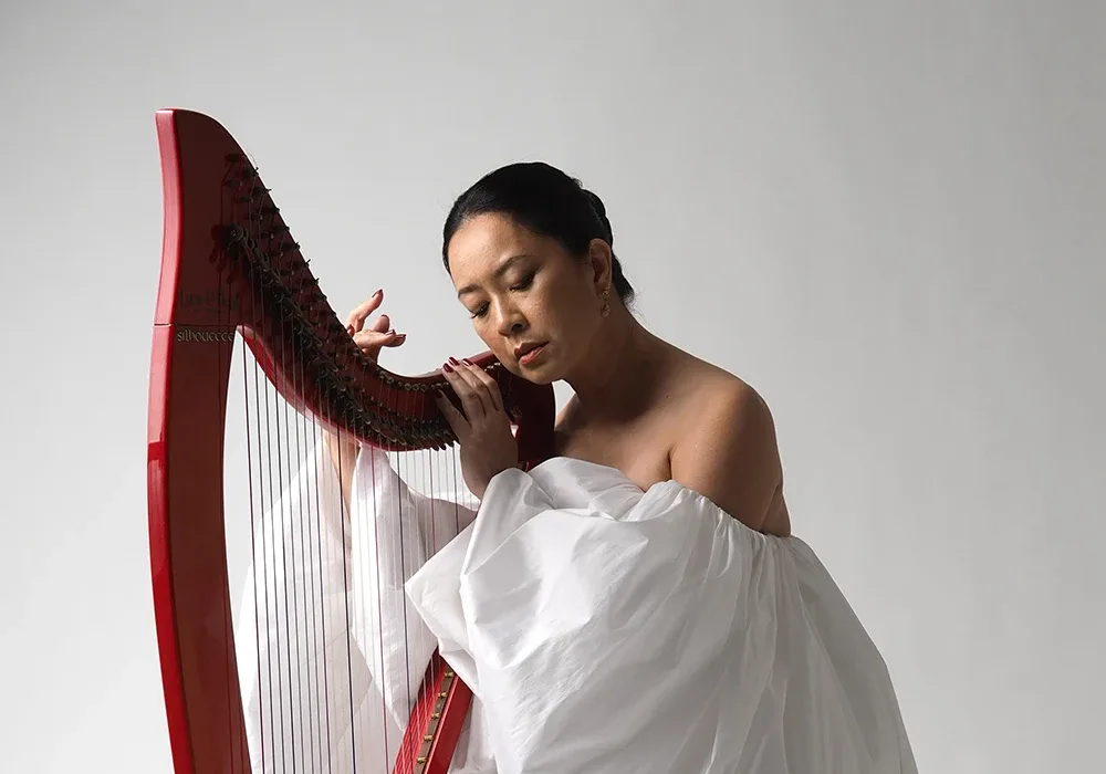 The Healing Strings by Maya Hasan